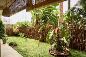 Casa Banana