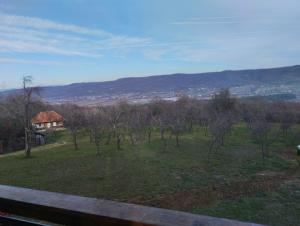 Cabana Valea Brazilor