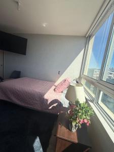 Vista Urbana y Laguna Concepción