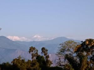 Jun Homestay