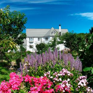 Asahikawa - House - Vacation STAY 78092v