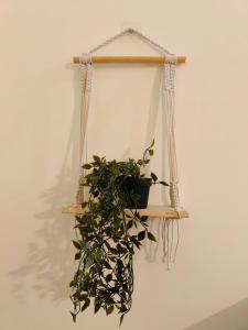 Lavish homes - Orange Oasis