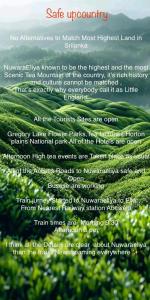 Serendipity Lake Artistic Bungalow by Heidis Home