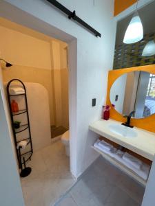 Remodeled Studios on Calle Adelita, Madera