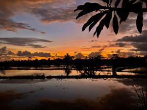 Kubu Bakas Guest House