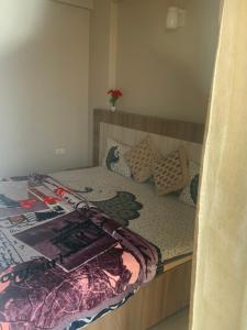 Radha Palace near prem mandir