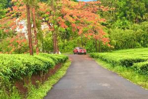 Zonooro Homestay Vythiri