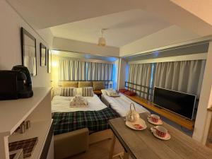 Monolocale sulle piste da sci!