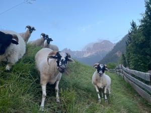 Veraltenhof Agriturismo B&B