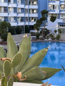 Halászfalu Apartman Green Park Golf del Sur
