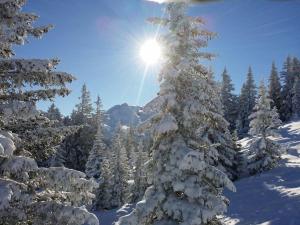 Ferienwohnung Bargehr Marion
