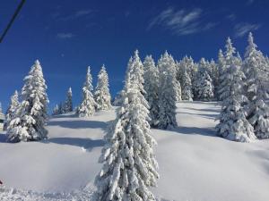 Ferienwohnung Bargehr Marion