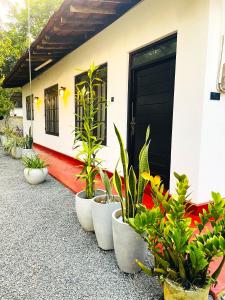 Margosa Villa In Mirissa