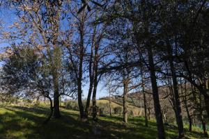 Cavallara - pace, natura e musica