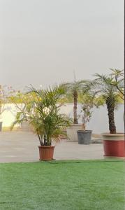 Flora A rooftop with serenity and peace