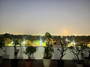 Flora A rooftop with serenity and peace