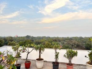 Flora A rooftop with serenity and peace