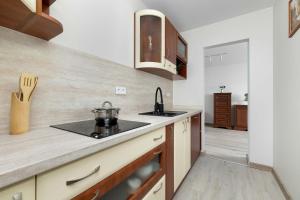 Elegant Apartment in Katowice Center with Desk and City View by Noclegi Renters