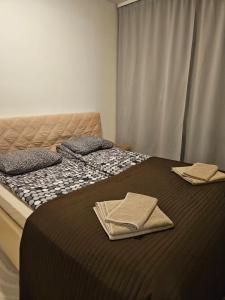 Snow King Residence with private sauna