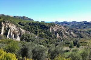 Villa Carciofa by MMega