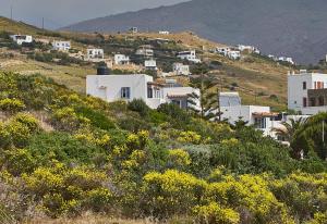 Irene Studios Andros Greece