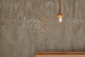 Irene Studios Andros Greece