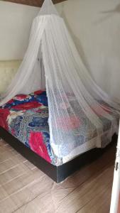 Batu Katak Jungle River