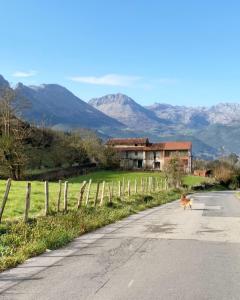 Casa Guardamino - Naturaleza