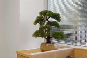 1 Bed Flat in London