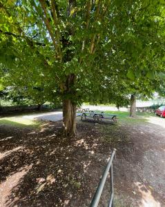 Krásný byt v srdci historického Tábora