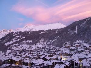 Zermatt Panoramic View Flat