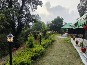 the jungle book - luxury camps by lake & woods