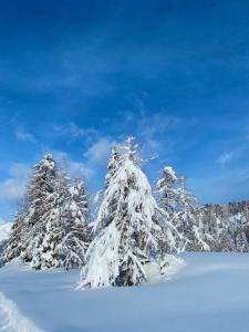 Exclusive Apartment on the Ski Slopes