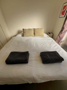 2F Spacious Apartment in Shinjuku, Shibuya Tokyo