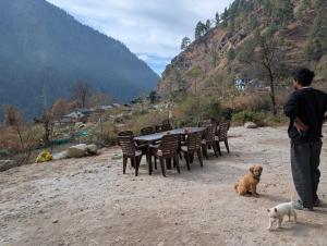 Healing Staytion- Katagla, Kasol