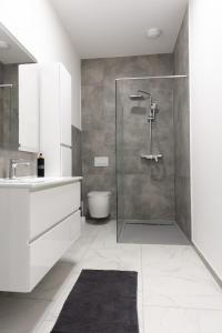 Luxury Apartment Brendi