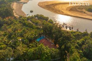 EKOSTAY Gold - Koral Wood