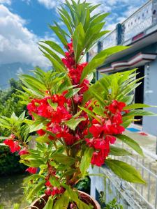 Shree Kedar dham Guest House