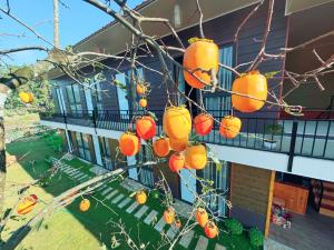 Amy Homestay Mộc Châu