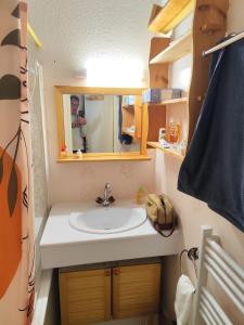 Appartement cosy, La Foux dAllos 4 personnes avec terrasse