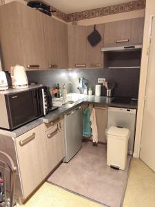 Appartement cosy, La Foux dAllos 4 personnes avec terrasse