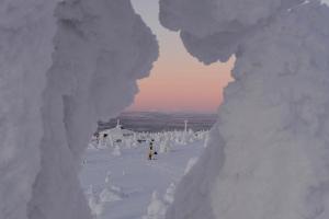 Metsonlinna Residence 103