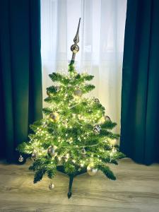 Cuddle Corner Budapest