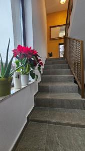 CASA BELLINA Apartamente Tomești