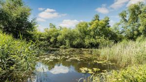 Villavilla #681 - Vejby Strand, Nordsjælland