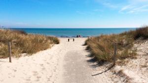 Villavilla #642 - Marielyst, Lollandfalstermøn