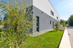 Villa Violeta & Katharina