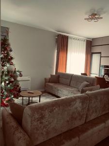 Ares home