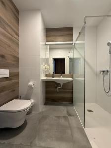 Aparthotel Apartamenty Czarna Góra 111