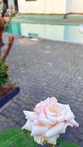 Grand Glorious Resort